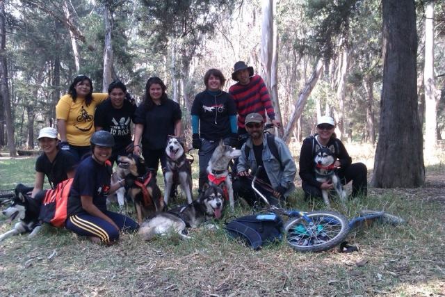  Mushing-Gruppe 